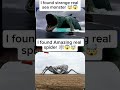 I found real strange monsters 😱🤯🤯 #cartton #viral #strangefamous #scary #trending #shorts
