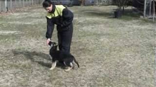 Ianka Di Casa Milocco