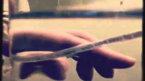 A Mandala of Sunken Leaves - Film of a Poem by Maciej Wozniak