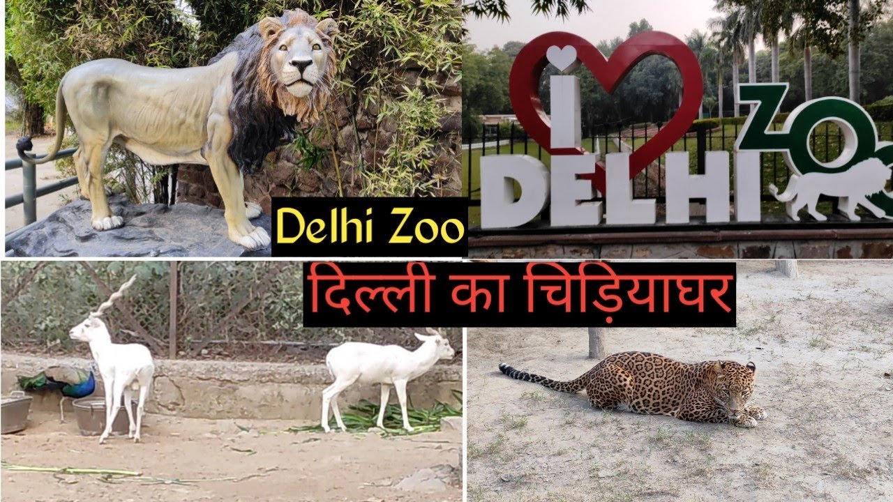 delhi zoo tour