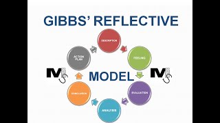 gibbs reflective cycle example occupational therapy