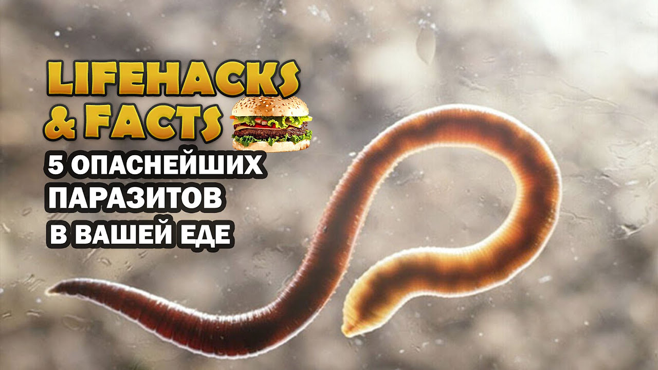 Глисты у детей заражение