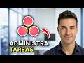 Cómo Gestionar Mis Tareas en Asana - Guía Fácil 2026