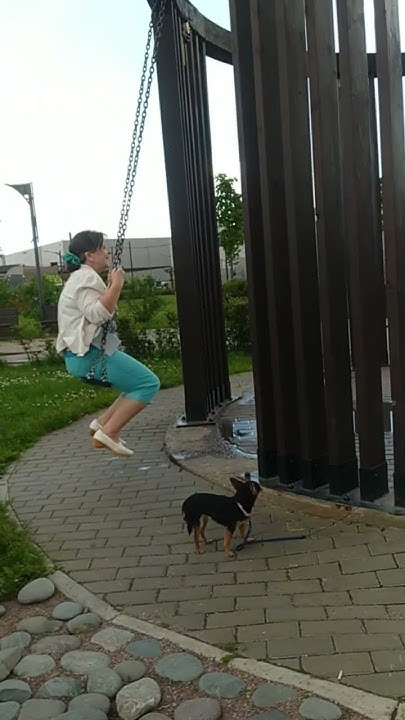 Внук выгуливает бабулю и собачку🤣 - YouTube