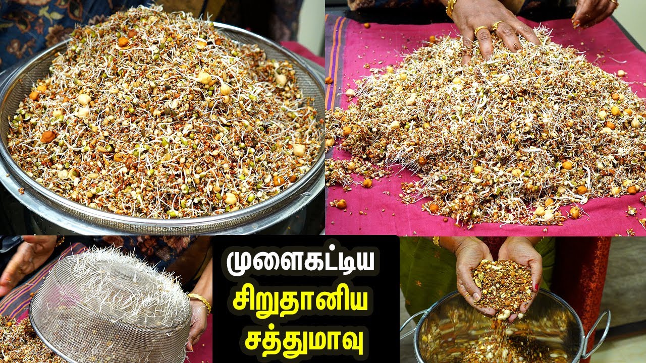 முளைகட்டிய பல தானிய சத்துமாவு💕👌குழந்தைகள் முதல் பெரியவர் வரை குடிக்கலாம்/Sprouted health mix