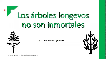 ¿Qué árboles son inmortales?