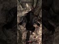 Something Is Protecting the Vampire Boss -Skyrim on Linux #Shorts 👍✍️✍️✍️