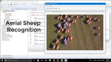 JavaFX Mini Project : Aerial Sheep Recognition | Marvin Framework