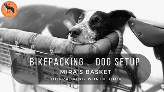 How I travel with my dog while bikepacking around the world.  Mira’s dogpacking setup