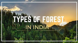 Indian Forest - Types, System & Features #tropical #alpine #forest #himalayan #plants #flora #fauna screenshot 2