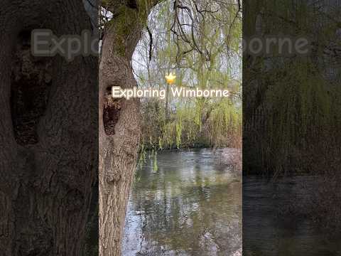Exploring Wimborne | #shorts #shortvideo #explore #travel #beautiful #cute #nature #nature #england