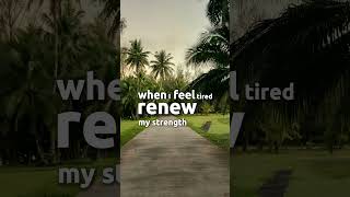 Wednesday Morning Prayer | July 8 | Start Your Day with God’s Peace & Blessings