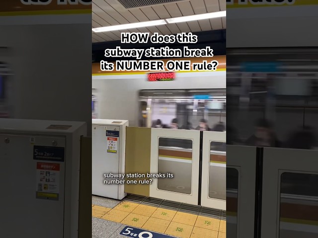 This Tokyo subway station breaks its NUMBER ONE rule! #japan #tokyo #amandumb class=