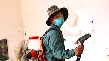 Yêu cầu các đơn vị tăng cường các biện pháp phòng chống sốt xuất huyết