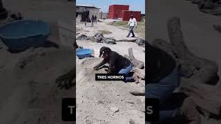 Alfaro disfruta de la vida en España 🤯