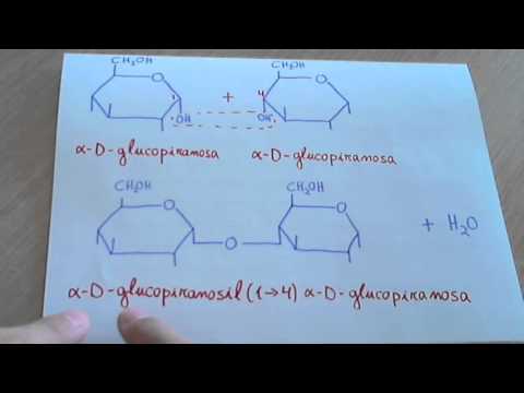 Vídeo: Diferencia Entre Agenda E Itinerario