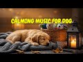 12 HOURS of Relaxing Music for Dogs With Separation Stress 🐾🎶 | Comfort and Sleep Therapy for Pets