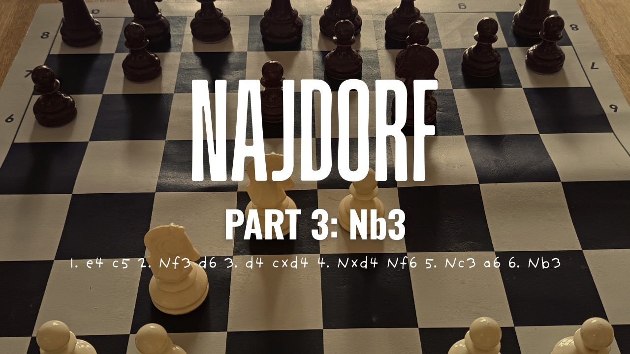 Sicilian Najdorf · 6.Nb3
