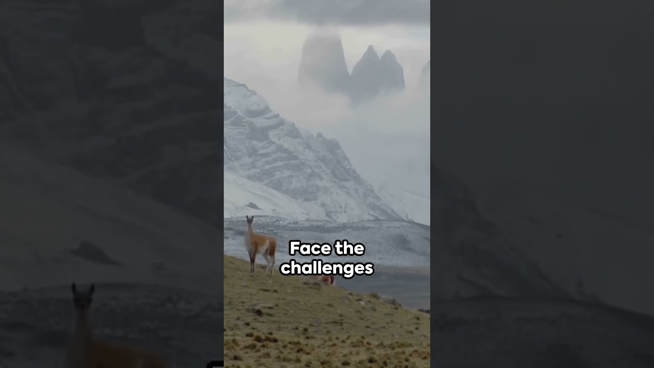 Patagonia: Land of Contrasts