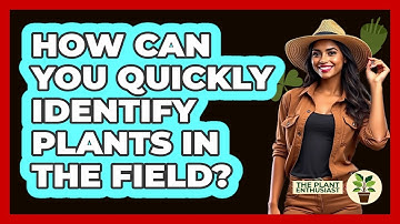 How Can You Quickly Identify Plants In The Field? - The Plant Enthusiast