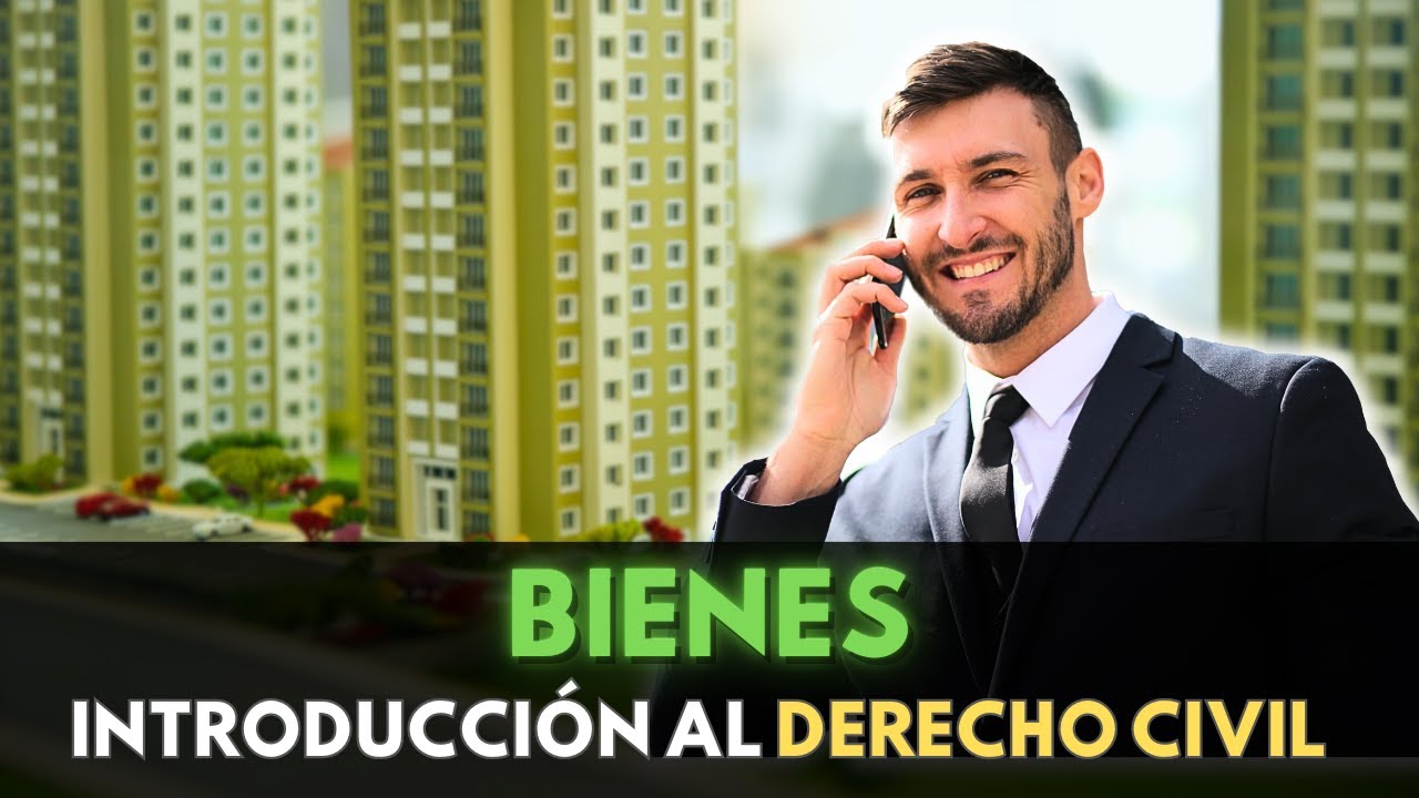 ¡Increíble! Domina los BIENES del Derecho Civil en solo 12 MINUTOS.