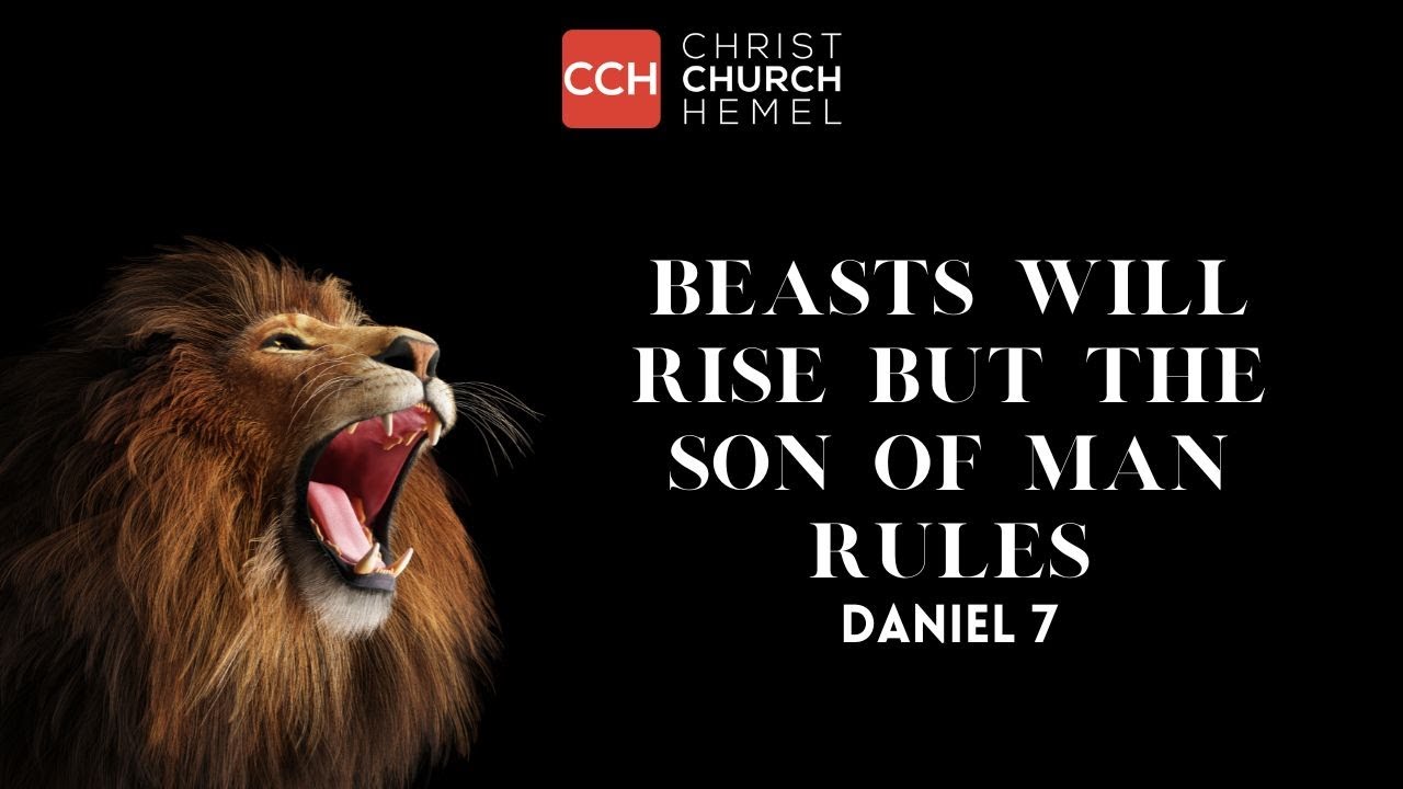 Daniel Ruling Beasts will rise but the Son of Man rules (Daniel 7) | Christ Church ...