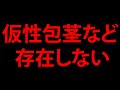 包茎のすべて【科学的解説】