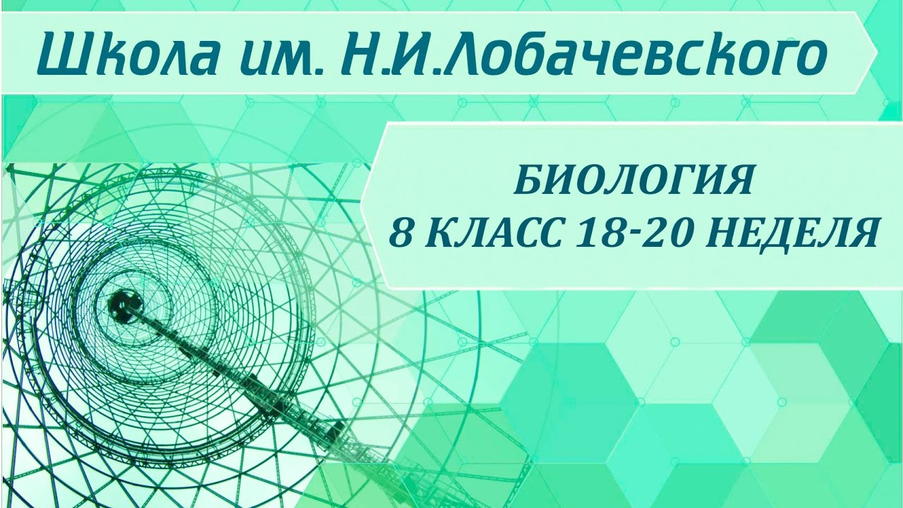 ⁣Биология 8 класс 18-20 неделя Внутренняя среда организма. Кровь