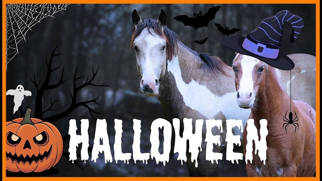 BREF C'EST BIENTOT HALLOWEEN ! - Les poneys vont aimer