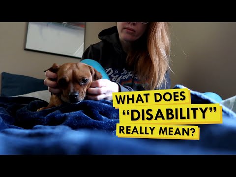 Exploring how my psychiatric service dog can help with ADHD and Anxiety thumbnail