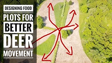 Designing Food Plots For Better Deer Movement  S10