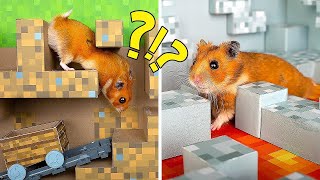 Großartiges Mineсraft-Labyrinth für aktive Hamster! 🐹❤️