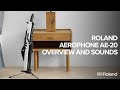 Roland Aerophone AE-20 Overview and Sound Examples