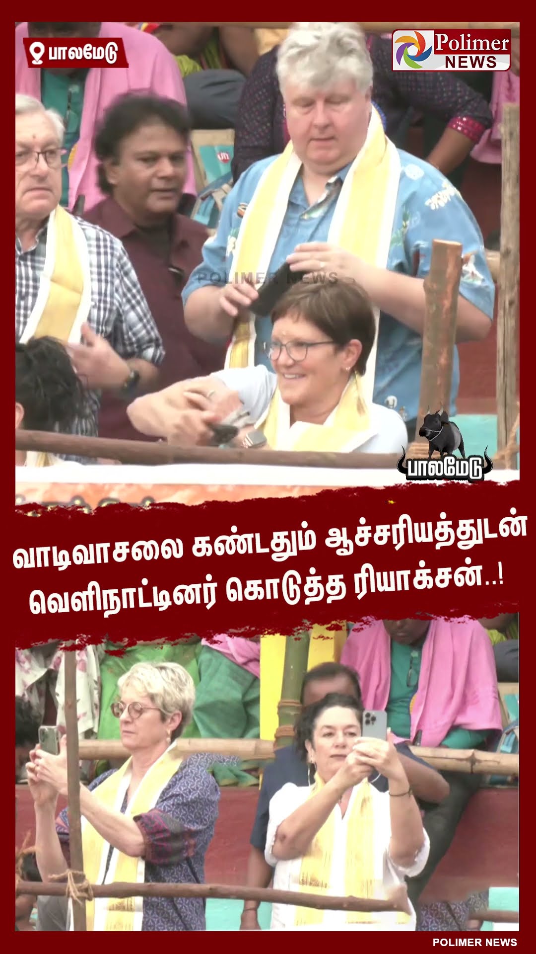 வாடிவாசலை கண்டதும் ஆச்சரியத்துடன் வெளிநாட்டினர் கொடுத்த ரியாக்சன்..!   #shorts | #palamedujallikattu