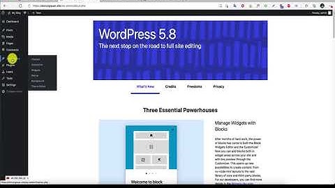 [#Wordpress] Hướng dẫn cài đặt và Import Demo Theme MyThemeShop