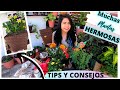 Trasplantando Muchas Plantas Nuevas // PLANTAS PARA PRIMAVERA