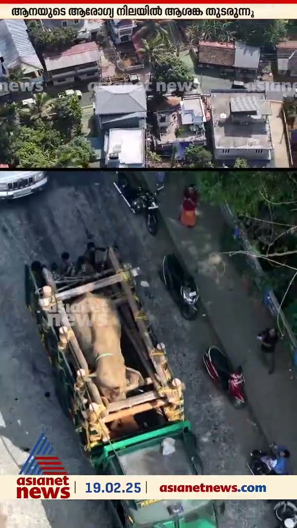 മസ്തകത്തിന് പരിക്കേറ്റ കൊമ്പൻ കടന്നുപോകുന്നതിൻ്റെ ആകാശദൃശ്യങ്ങൾ