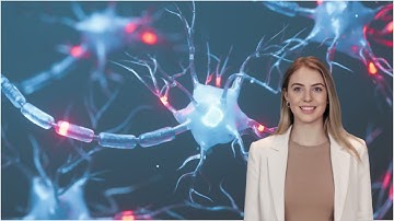 leren leren 3: Hoe je brein intern communiceert