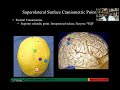 Cns neurosurgery 100 cerebrum surface anatomy and tracts