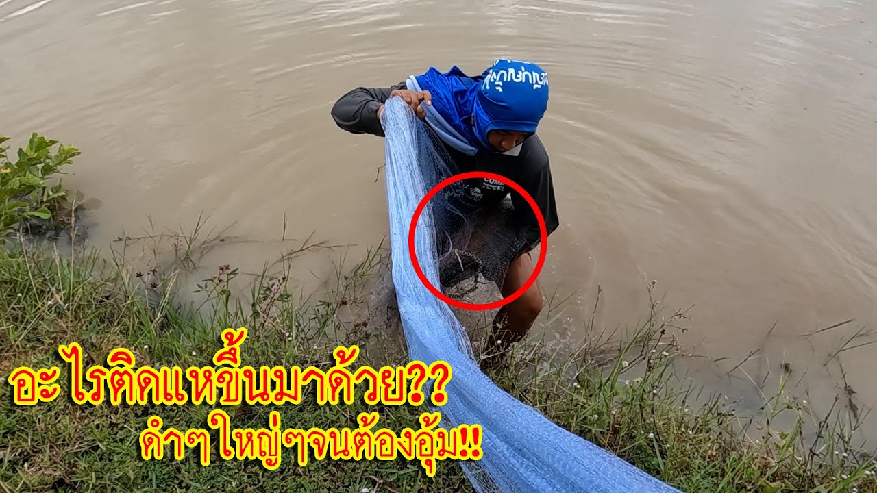 อะไรติดแหขึ้นมาด้วย?? ดำๆใหญ่ๆจนต้องอุ้ม!! ทีมงานหว่านแหหาปลา