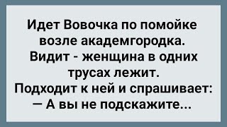 Лучшие Анекдоты про Вовочку! Сборник Свежих Анекдотов! Юмор!