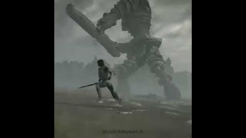 Cat video 𝖔𝖋 𝖙𝖍𝖊 𝕮𝖔𝖑𝖔𝖘𝖘𝖚𝖘 | ♛purchmymerch♛ 🅼🅴🅼🅴