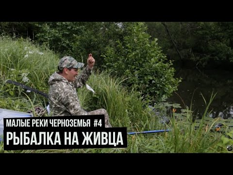 Рыбалка на живца / Малые реки Черноземья. Сезон 4. Выпуск 5