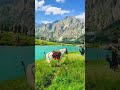 Lost in Nature, found in peace | Domail, A store #travel #nature #shorts