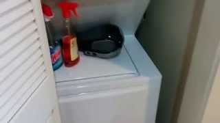 Seeking Roommate SOMA SF