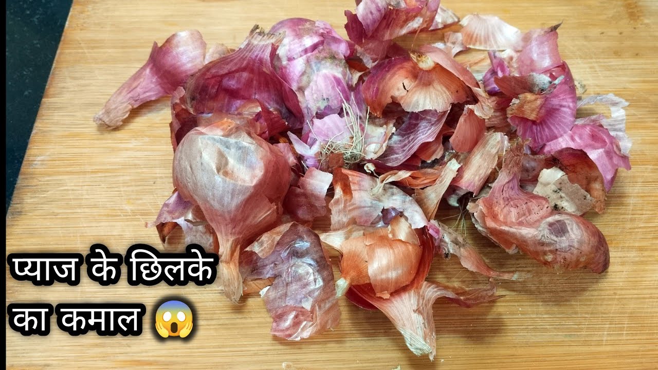 प्याज के छिलके का कमाल 5 Smart Kitchen Tips जो बहुत सारे पैसे बचाएगी| kitchen tips and tricks 