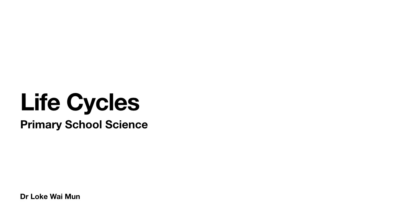 Life Cycles YouTube