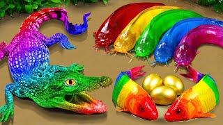 Stop Motion Cooking ASMR Colorful Koi Fish Cow, ikan & Big Frog 다채로운 잉어물고기 | 거대한 개구리  무지개 메기/ 스톱 모션