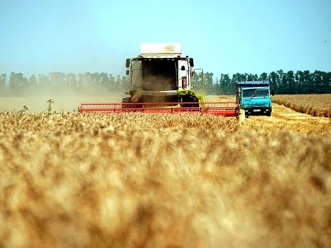 Спецрепортаж: Агропромышленный комплекс