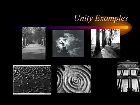 Photography Tutorial for Beginners - photography composition for beginners